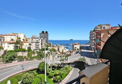 Large 2-bedroom apartment | Moneghetti