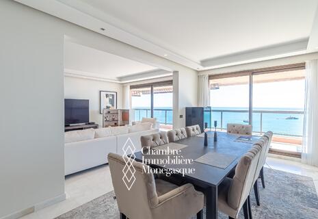 Vue exceptionnelle sur la mer et le Cap Martin