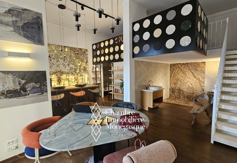 LOCAL COMMERCIAL AVEC MEZZANINE