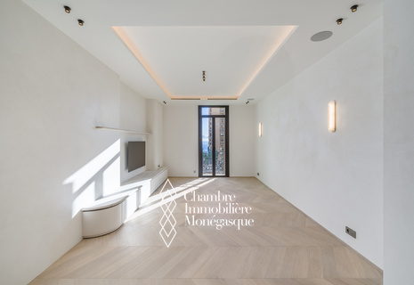 AMBASSADOR - 3 PIECES - GRAND LUXE - LOCALISATION IDEALE