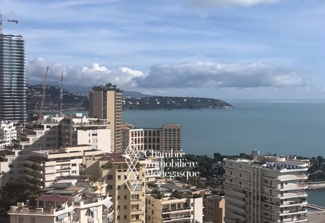 Superbe penthouse à la location