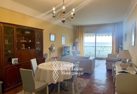 2 pièces au Continental avec jolie vue