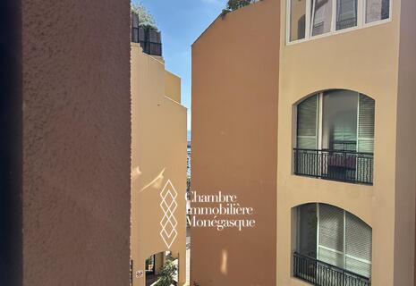 APPARTEMENT 2 PIECES MICHELANGELO