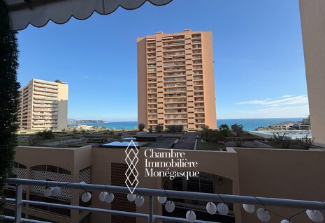 3 room apartment completely renovated - Neat interior with sea view