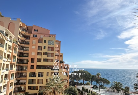 MAGNIFIQUE 2 PIÈCES AVEC VUE MER