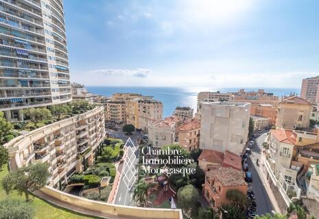 Large apartment | Seaview