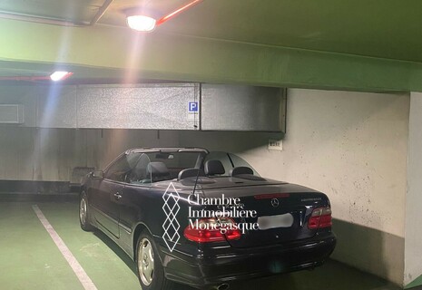 PARKING - PARC SAINT ROMAN