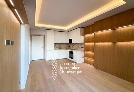 Appartement lumineux de deux pièces – Proche du Carré d'Or et de l'Hôtel de Paris