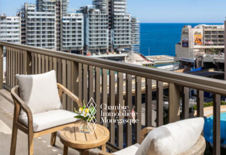 CARRE D'OR / MIRABEL / PENTHOUSE 3 PIECES