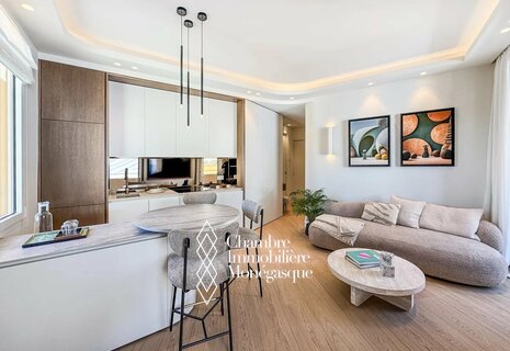 Luxueux 2 pièces rénové et meublé