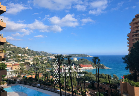 APPARTEMENT A QUELQUES PAS DU BEACH MONTE-CARLO