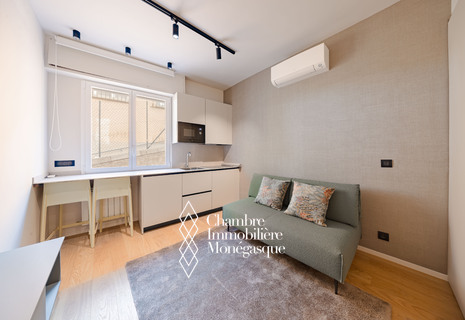 SUPERBE 2 PIÈCES RÉNOVÉ ET MEUBLÉ