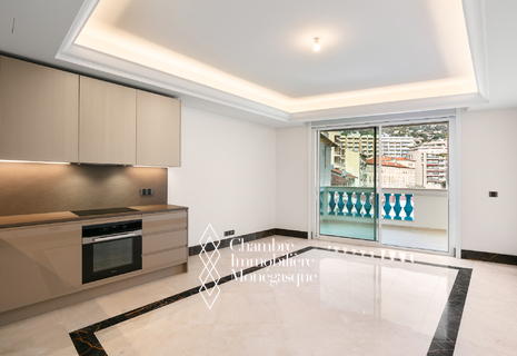 Location Exclusivité studio Monaco Moneghetti nouvelle Résidence
