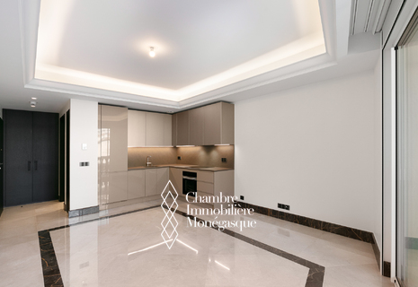 Location Exclusivité studio Monaco Moneghetti nouvelle Résidence