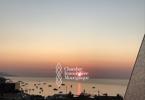 4 Piéces refait à neuf - Vue mer et Montagne