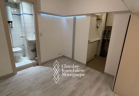 Charming studio apartment with independent entrance - Trianon