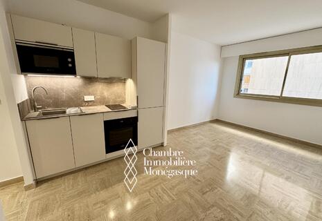 Studio spacieux | Rénové