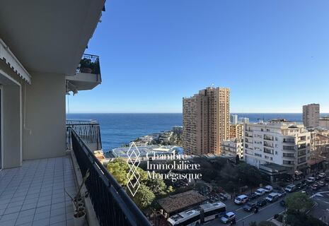 Grand 3 pièces au Continental - Étage élevé