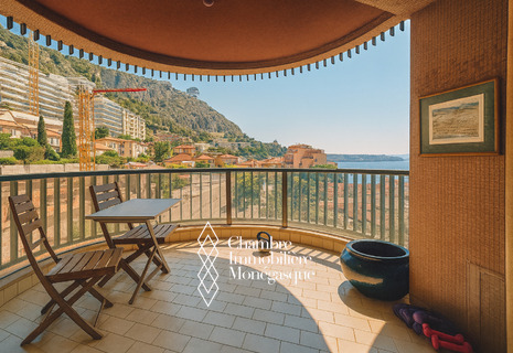 LAROUSSE | PARC SAINT ROMAN | 3 ROOMS