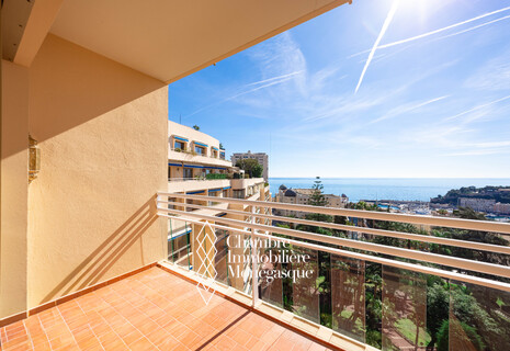 3 PIÈCES RÉNOVÉ AVEC VUE MER