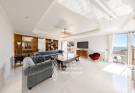 3 PIÈCES RÉNOVÉ AVEC VUE MER