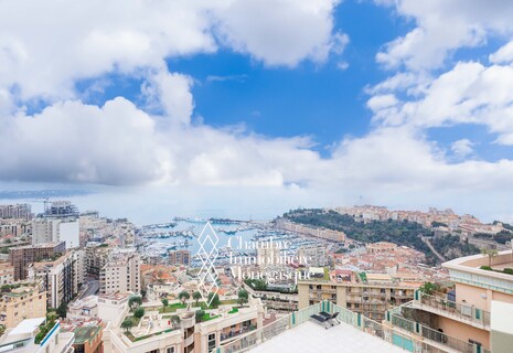 PENTHOUSE DUPLEX ROOFTOP – VILLA LES PINS