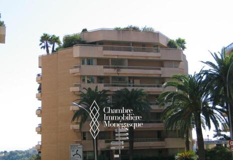 large parking space - Bd de Belgique