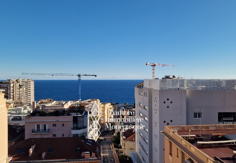 Beausoleil PENTHOUSE 5 pièces 5 mn du carré d'OR  de Monaco