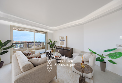 3 PIECES RENOVÉ AVEC VUE MER