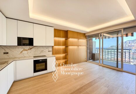 Appartement lumineux de deux pièces – Proche du Carré d'Or et de l'Hôtel de Paris