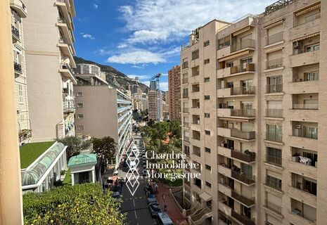 2 Pieces entièrement rénové - Bd des Moulins