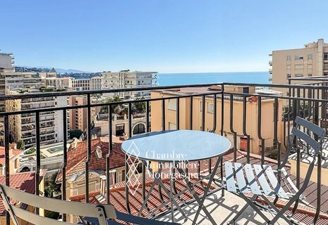 Luxueux 2 pièces meublé avec vue sur la mer