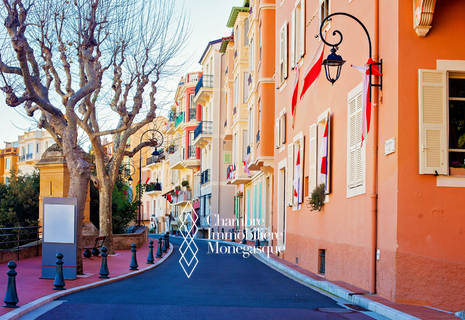 Rare : Viager occupé  –  Dernier étage avec balcon sur le Rocher