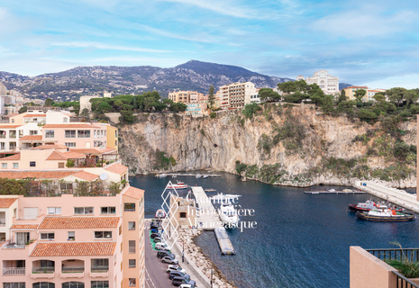 FONTVIEILLE - FURNISHED TWO-ROOM APARTMENT WITH SEA VIEW AND PARKING SPACE