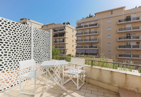 STUDIO MEUBLE AVEC CAVE ET PARKING INCLUS