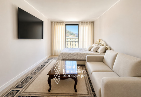 STUDIO - MONTE CARLO - NEAR CASINO