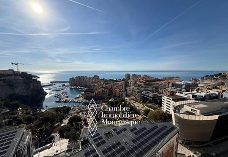 Magnifique 3P vue mer - Grande terrasse - cave et parking