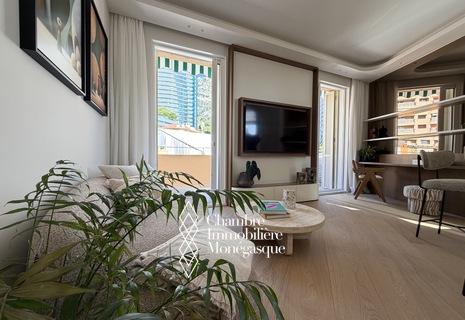 2 pièces rénové avec Terrasse - La Radieuse