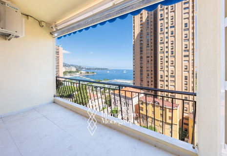 Superb 4 room apartment completely refurbished with terraces and cellar