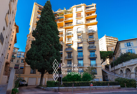 MAGNIFICENT RENOVATED PENTHOUSE WITH SEA VIEW - LE PALAIS DU PRINTEMPS