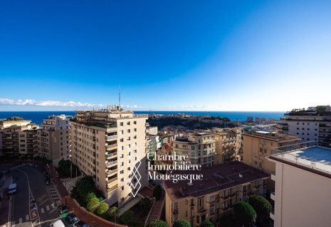 MAGNIFIQUE PENTHOUSE RÉNOVÉ AVEC VUE SUR LA MER - LE PALAIS DE LA SOURCE