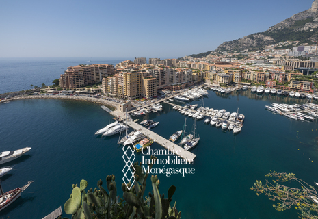 MEMMO CENTER - Fontvieille - 5 Pièces