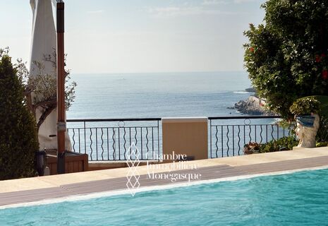 Large apartment with a private pool