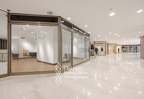 LOCAL COMMERCIAL - PARK PALACE