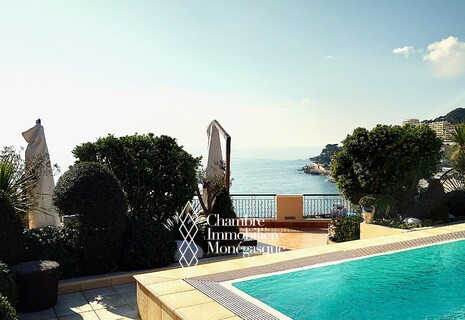 MAGNIFIQUE 7 PIECES AVEC TOIT TERRASSE ET PISCINE PRIVEE