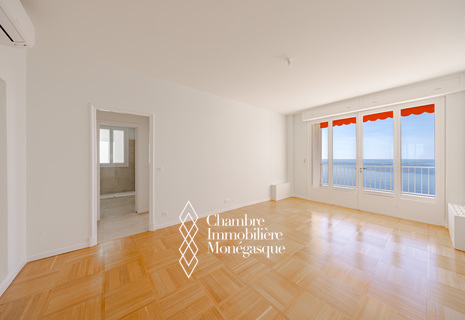 GRAND DEUX PIECES RÉNOVÉ AVEC VUE MER