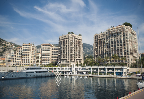 Spacieux appartement - Vue port de Cap d'Ail