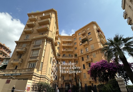 MAGNIFIQUE APPARTEMENT 5 PIÈCES - FRANZIDO PALACE