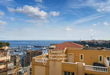 TRILOCALE con vista sul mare e Monaco-ville - rue Bosio - Legge 1291/1235