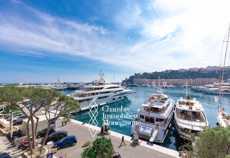 EXCEPTIONNEL 4 PIECES FACE AU PORT DE MONACO
